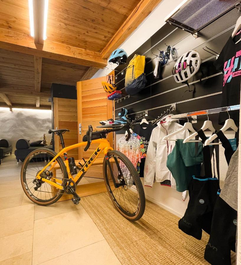Alp Apartments Ski & Bike - Tourneuve5 Аоста Екстер'єр фото