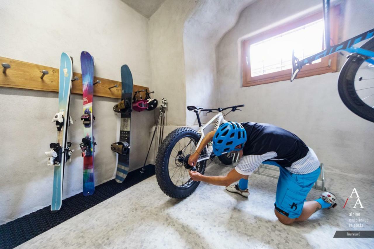 Alp Apartments Ski & Bike - Tourneuve5 Аоста Екстер'єр фото
